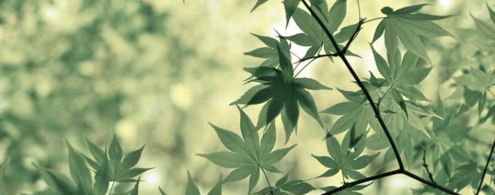 和男朋友经常吵架，总感觉他不够坦诚?