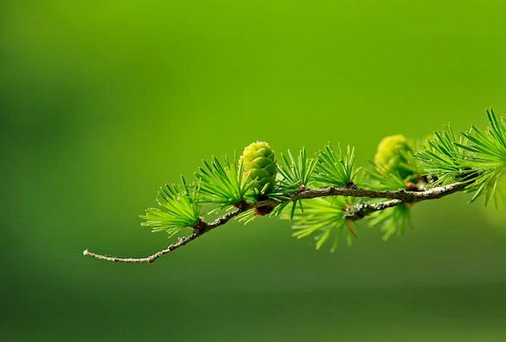 想到和父母拥抱会有点尴尬，正常吗？