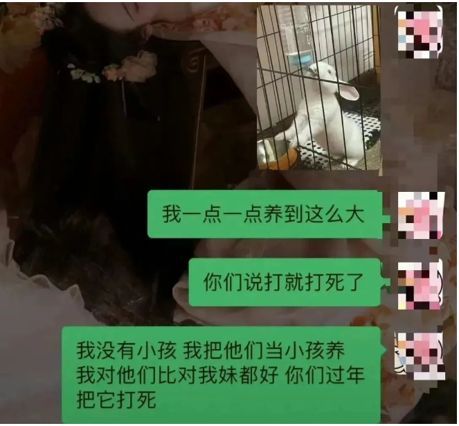 “我的朋友被爷爷吃了”:“情感陪伴”成为当代人的“刚需”